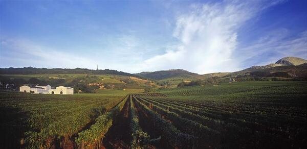 Laborie Wine Farm Paarl