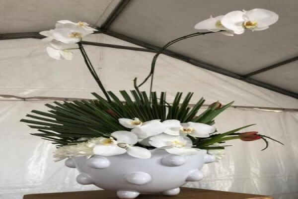 Function Decor