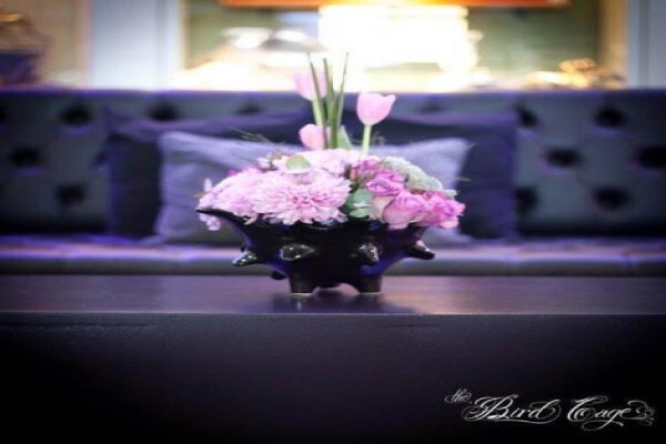 Function Decor