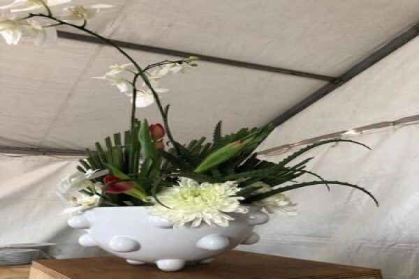 Function Decor