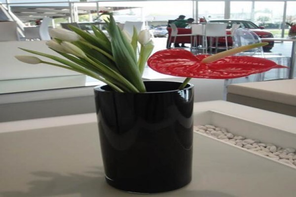 Function Decor