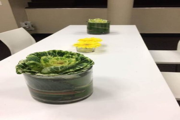 Function Decor