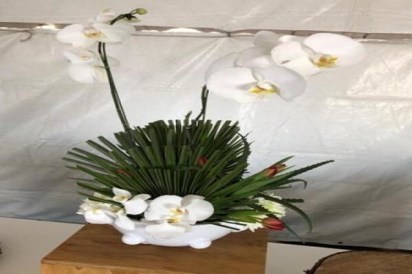 Function Decor