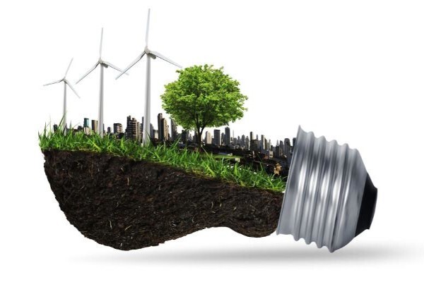 Lokisa Environmental Consulting
