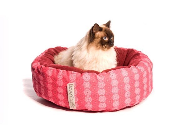 Loveyourpet