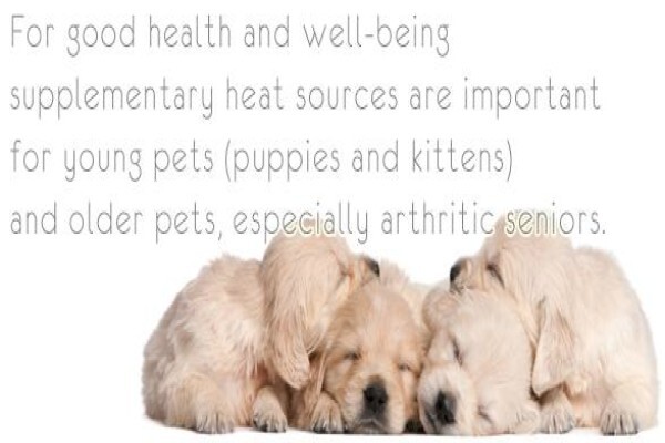 Loveyourpet