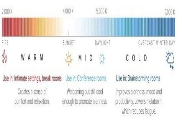 Lumi Led Lights
