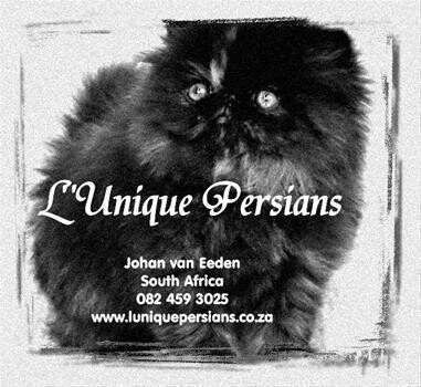 L'Unique Persians