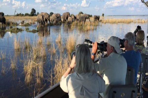 Made In Africa Tours