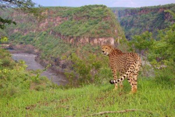 Made In Africa Tours
