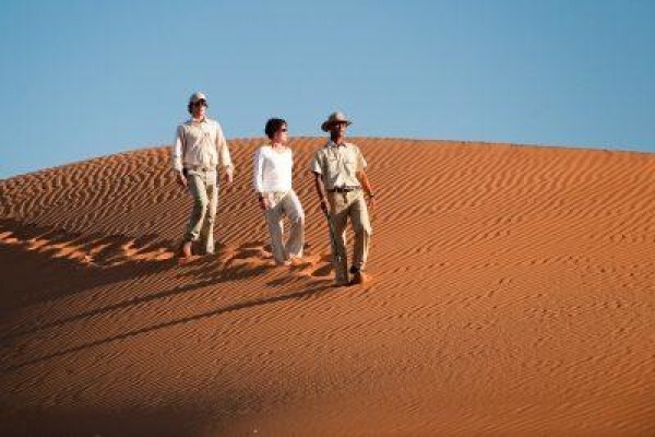 Made In Africa Tours