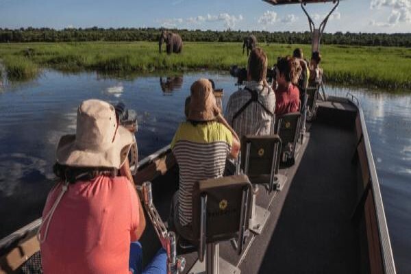 Made In Africa Tours