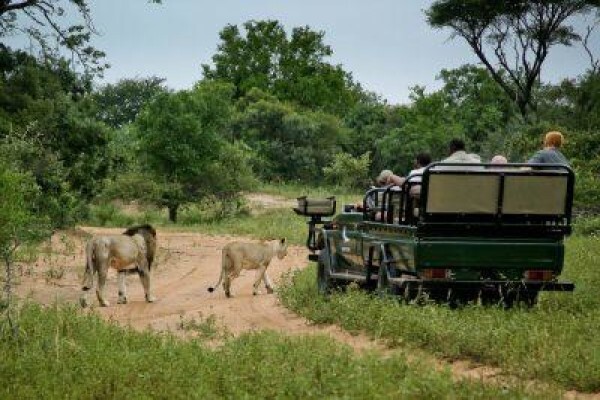 Made In Africa Tours