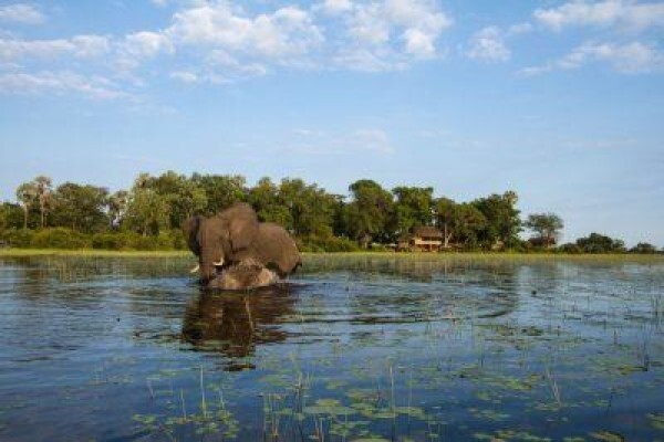 Made In Africa Tours