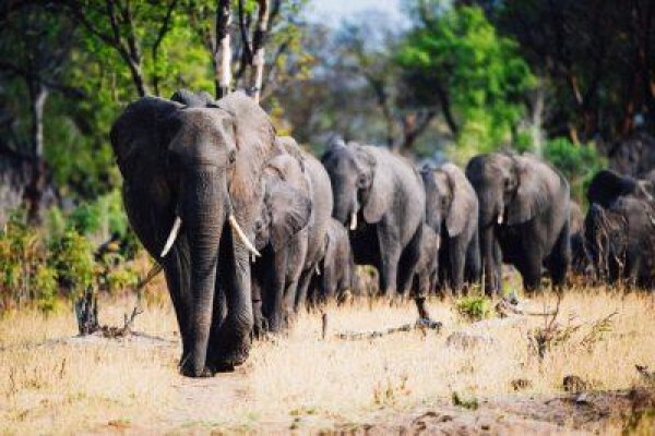 Made In Africa Tours