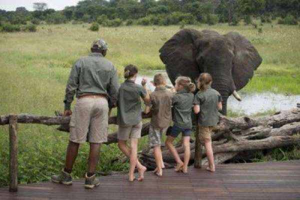 Made In Africa Tours