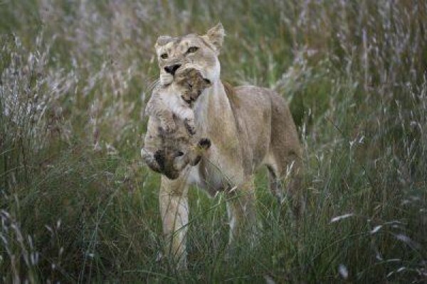 Made In Africa Tours