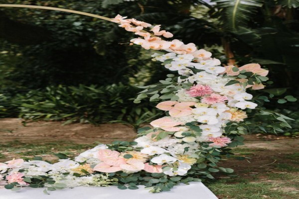 Agape Wedding Info Centre