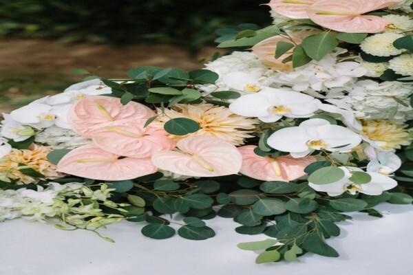 Agape Wedding Info Centre