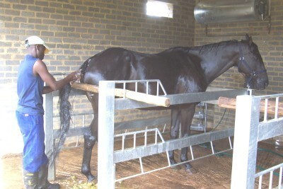 Liberty Stables & Riding School