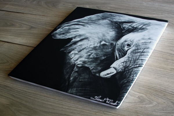 Liesel Wessels Artist