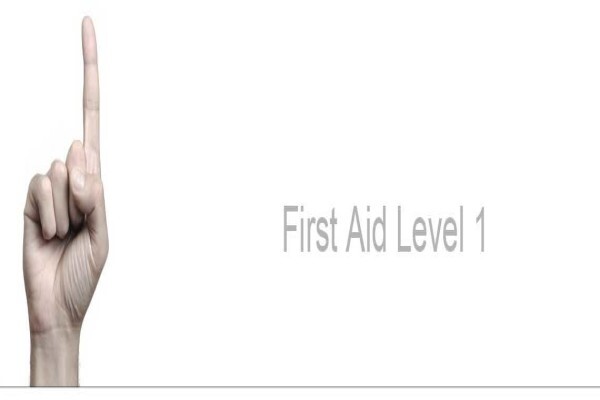 Life Aid