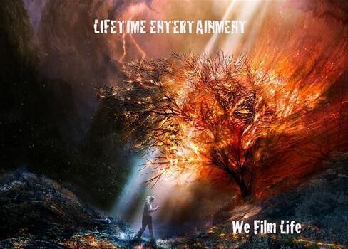 Lifetime Entertainment
