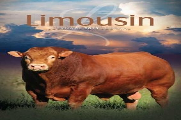 Limousin