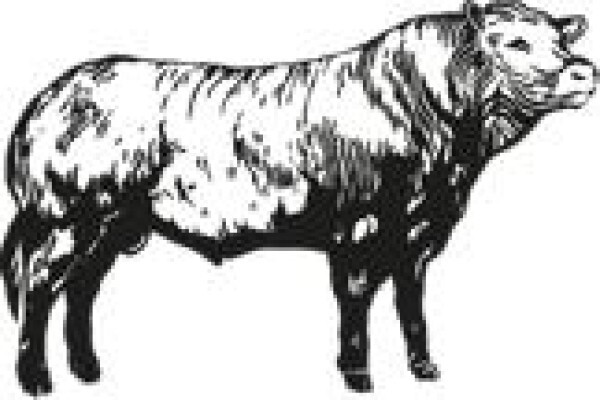 Limousin
