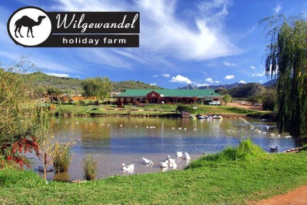 Seaview Lodge