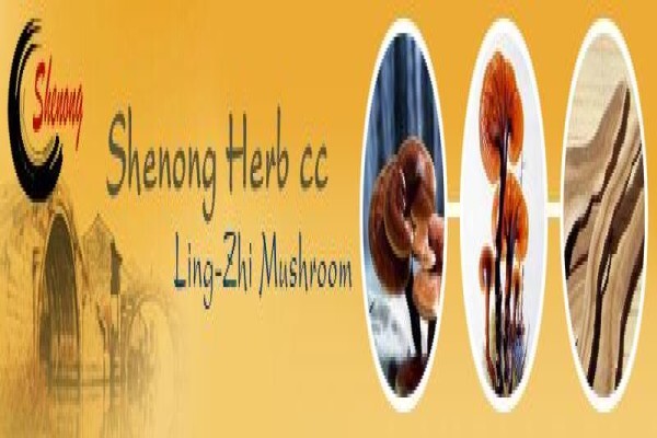 Ling-Zhi Mushroom
