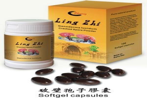 Ling-Zhi Mushroom