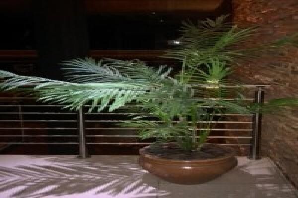 Alcazaba Lodges