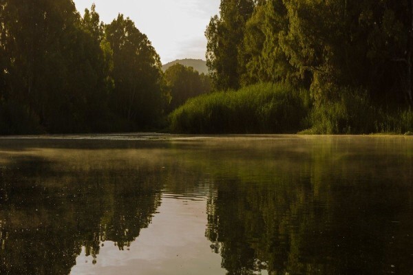 Bonnievale River Lodge