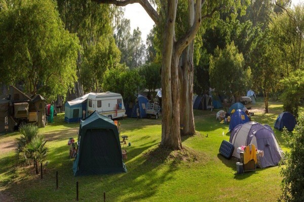 Bonnievale River Lodge