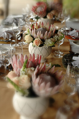 Apple Annies-Events