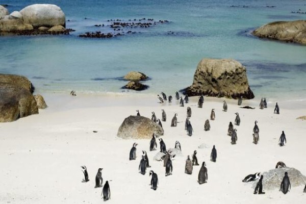 Cape Escape Holiday Homes