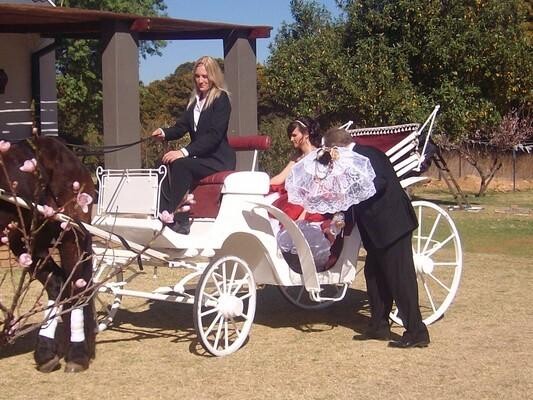Liebencharm Guest Farm