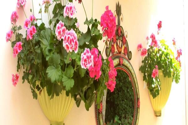 Cotswold Gardens Guest House