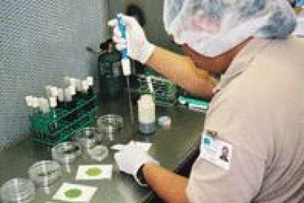 Marcus Rohrer Spirulina