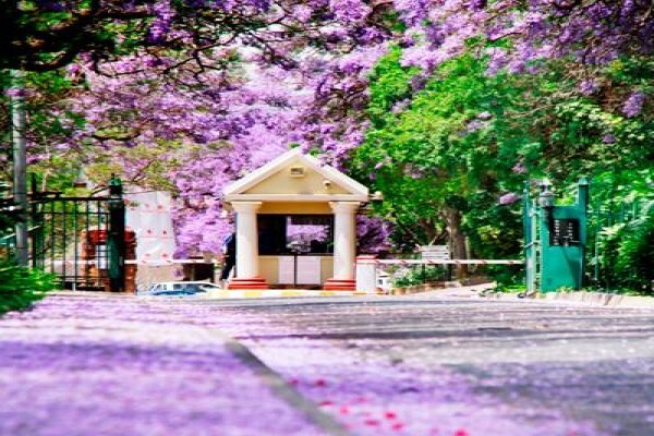 Pretoria Country Club
