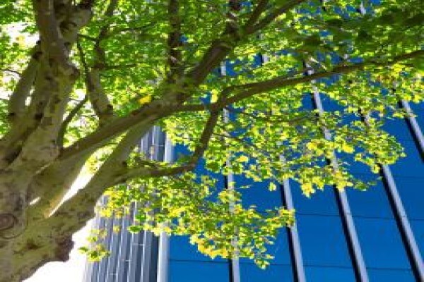 Mahogany Private Equity