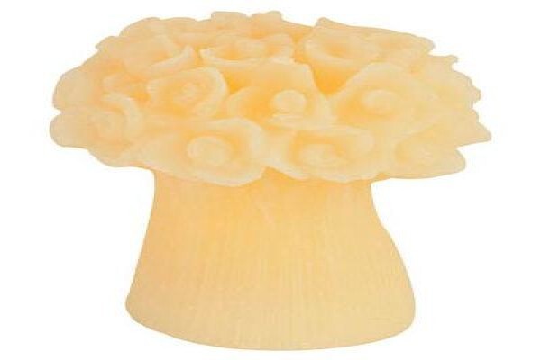Matchless Candles