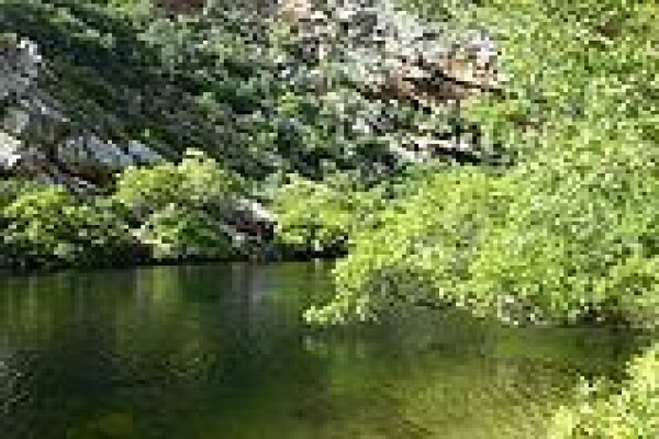 Makoya Amanzi Environmental Solutions