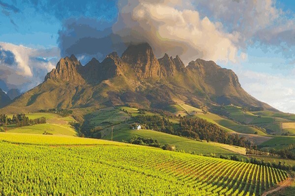 Malcolm Bouwer Properties