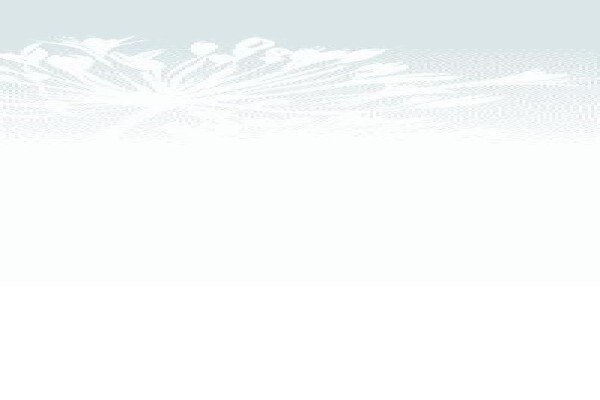 Plettenberg Park Hotel & Spa