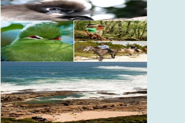 Plettenberg Park Hotel & Spa