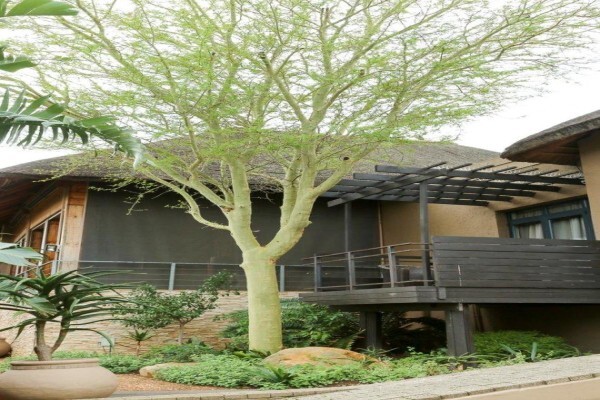 SW1 Luxury Guest Retreat & Boutique Spa