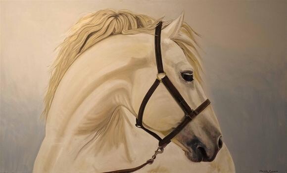 Micheal Conlin Studio