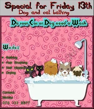 Michka'S Pet Grooming